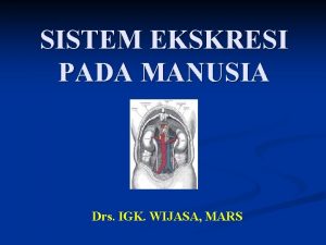 SISTEM EKSKRESI PADA MANUSIA Drs IGK WIJASA MARS