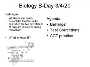 Biology BDay 3420 Bellringer Which enzyme bonds nucleotides