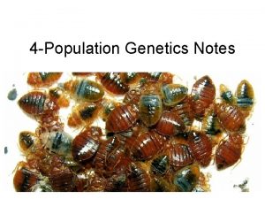 4 Population Genetics Notes Population genetics focuses on