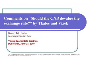 Comments on Should the CNB devalue the exchange