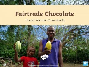 Where is Chocolate Grown 90 of all cocoa