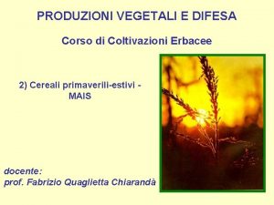 PRODUZIONI VEGETALI E DIFESA Corso di Coltivazioni Erbacee