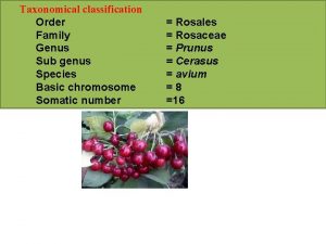 Taxonomical classification Order Family Genus Sub genus Species