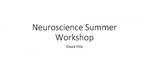 Neuroscience Summer Workshop Chuck Fittz Dyslexia Basically difficulty