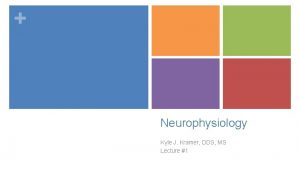 Neurophysiology Kyle J Kramer DDS MS Lecture 1