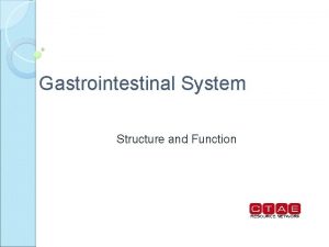 Gastrointestinal System Structure and Function Gastrointestinal system Where