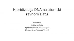 Hibridizacija DNA na atomski ravnom zlatu Josip Batur