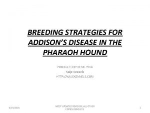 BREEDING STRATEGIES FOR ADDISONS DISEASE IN THE PHARAOH