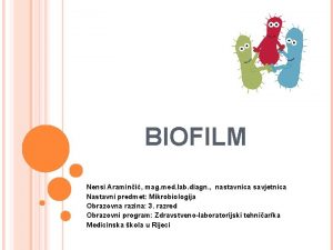 BIOFILM Nensi Aramini mag med lab diagn nastavnica