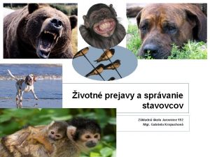 ivotn prejavy a sprvanie stavovcov Zkladn kola Jarovnice