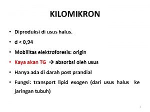 KILOMIKRON Diproduksi di usus halus d 0 94