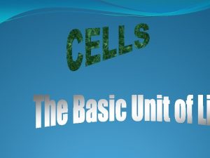 Cells Make up Plants Cells make up all