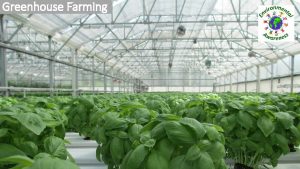 Disadvantages of greenhouse farming