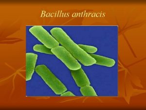 Bacillus anthracis Sommaire n n n n Introduction