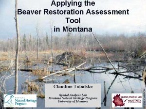 Applying the Beaver Restoration Assessment Tool in Montana