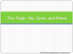 The Thigh Hip Groin and Pelvis 2007 Mc