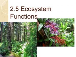2 5 Ecosystem Functions Major Functions of An