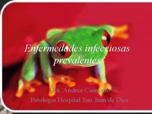 Enfermedades infecciosas prevalentes Dra Andrea Caamao Patologa Hospital
