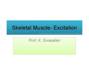 Skeletal Muscle Excitation Prof K Sivapalan Muscle Types