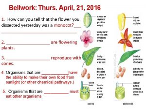 Bellwork Thurs April 21 2016 1 How can