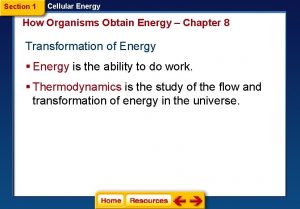 Section 1 Cellular Energy How Organisms Obtain Energy