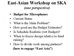 EastAsian Workshop on SKA one perspective Budget for