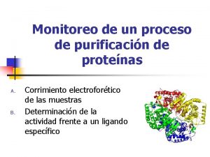 Monitoreo de un proceso de purificacin de protenas