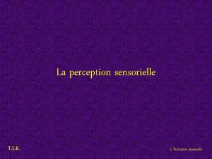 La perception sensorielle T S B 5 Perception