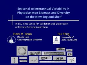 Seasonal to Interannual Variability in Phytoplankton Biomass and