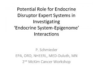 Potential Role for Endocrine Disruptor Expert Systems in