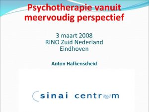 Psychotherapie vanuit meervoudig perspectief 3 maart 2008 RINO