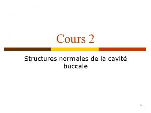 Cours 2 Structures normales de la cavit buccale