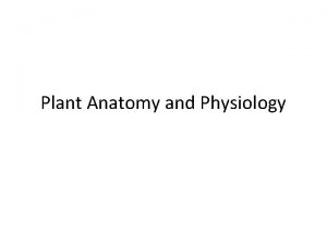 Plant Anatomy and Physiology Learning Objectives 1 Plant