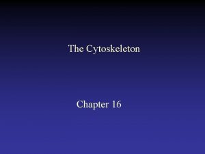 The Cytoskeleton Chapter 16 Cell stained with general