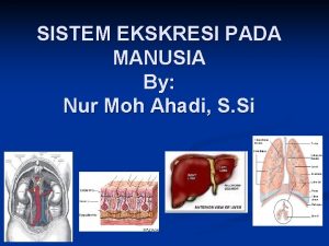 SISTEM EKSKRESI PADA MANUSIA By Nur Moh Ahadi