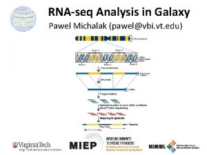 RNAseq Analysis in Galaxy Pawel Michalak pawelvbi vt