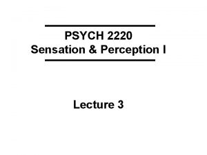 PSYCH 2220 Sensation Perception I Lecture 3 Keywords