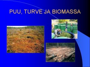 PUU TURVE JA BIOMASSA TURVE Heikosti maatunutta Acutifoliaturvetta