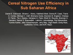 Cereal Nitrogen Use Efficiency in Sub Saharan Africa