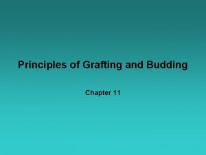 Principles of Grafting and Budding Chapter 11 Grafting