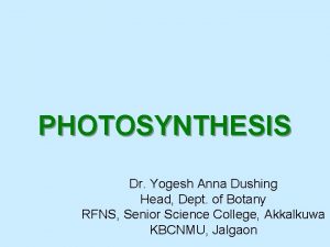 PHOTOSYNTHESIS Dr Yogesh Anna Dushing Head Dept of