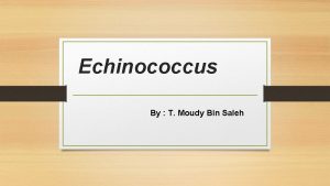 Echinococcus By T Moudy Bin Saleh Classification Kingdom