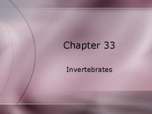 Chapter 33 Invertebrates Invertebrates Lack a backbone Account