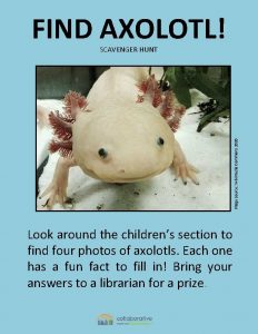 Axolotl libreria