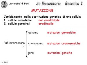 Universita di Bari MUTAZIONE Cambiamento nella costituzione genetica