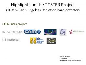 Highlights on the TOSTER Project TOtem STrip Edgeless