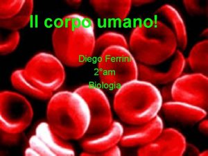 Il corpo umano Diego Ferrini 2am Biologia Corpo