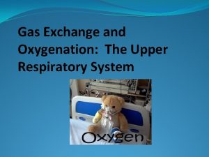 Gas Exchange and Oxygenation The Upper Respiratory System