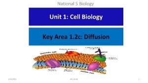 National 5 Biology Unit 1 Cell Biology Key