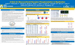 A Role for Glucocorticoid Receptor Phosphorylation in Myelination